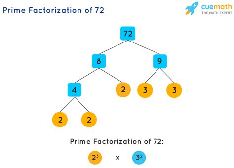 is 1023 prime|What is the prime factorization of 1023 [SOLVED].